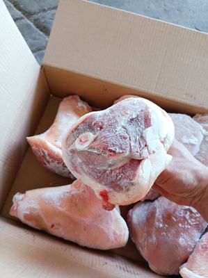 山东临沂兰山区猪副产品批发概览 优质猪肘子，价格亲民