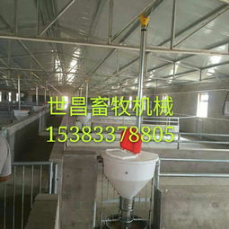 养猪设备厂供应自动下料桶 生产厂家、价格解析与羊场应用前景